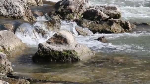 Rápido río de montaña, agua pura — Vídeo de stock