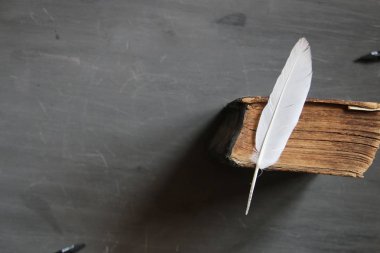 Eğitim kursları fikir