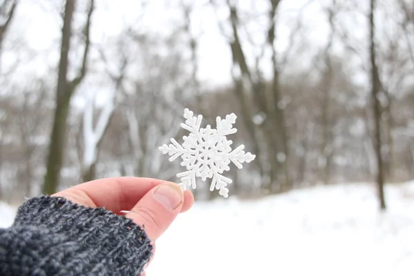 Snöiga kreativa koncept — Stockfoto