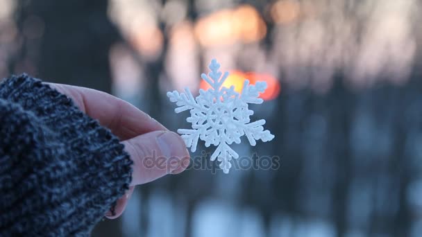 Conceito de inverno, mão segurando um floco de neve ao pôr do sol na floresta de inverno — Vídeo de Stock
