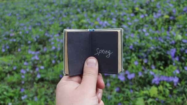 Concepto de primavera, libro con texto y campo de primavera con flores azules — Vídeos de Stock