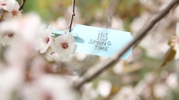 Its Spring Time concept. — Stock Video