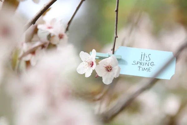 Its Spring Time concept. — Stock Photo, Image