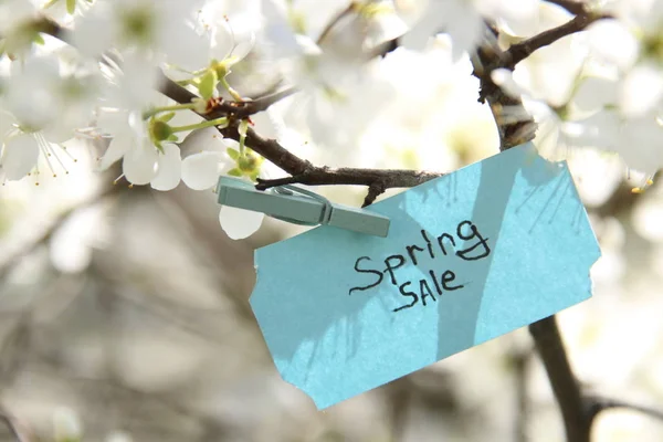 Wiosenna wyprzedaż Tag i białe kwiaty w słoneczny dzień wiosny — Zdjęcie stockowe
