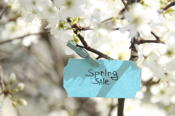 Primavera venda Etiqueta e flores brancas em um dia ensolarado primavera — Fotografia de Stock