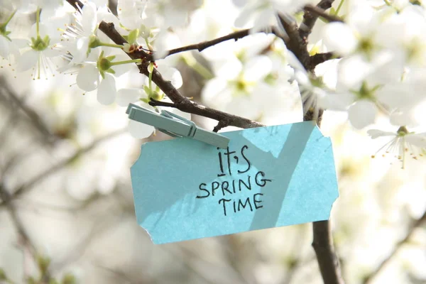Jej spring czas niebieski etykietę oraz białe kwiaty w słoneczny dzień wiosny — Zdjęcie stockowe