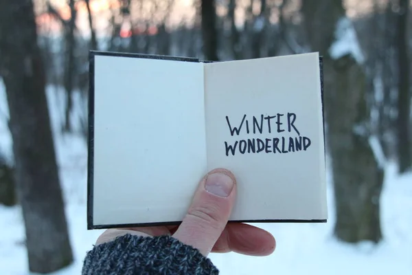 Ideia das maravilhas do Inverno. Livro e texto . — Fotografia de Stock