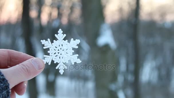 Vinter koncept, hand som håller en snöflinga, kopiera utrymme — Stockvideo