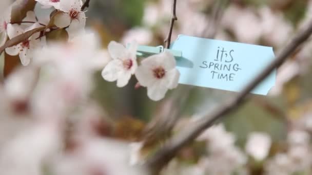 Its Spring Time blue tag. — Stock Video