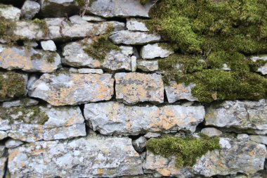 doğal taş duvar üzerine birçok moss ile
