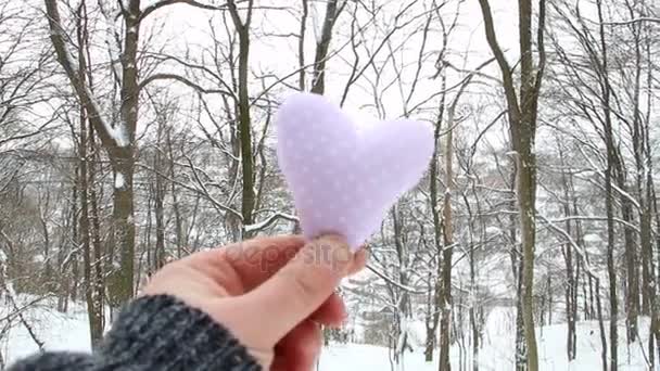 Vinteren, elskov eller Valentinsdag. Hånd som holder et hjerte i bakgrunnen av vinterskogen – stockvideo