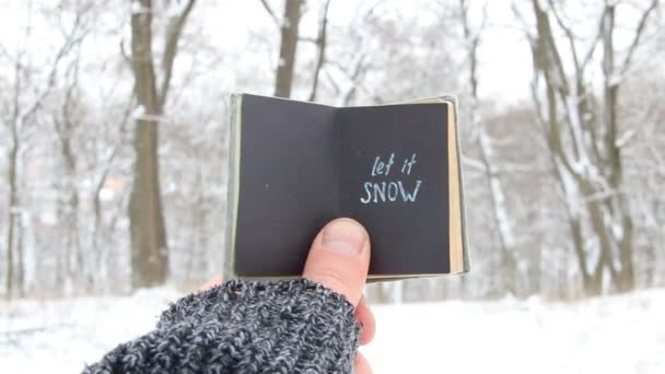 Laat het sneeuwen, boek met inscriptie — Stockvideo