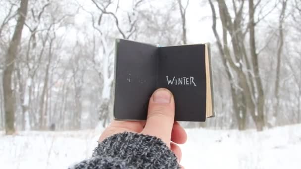 Winter rerto idee. Vintage boek met inscriptie. — Stockvideo