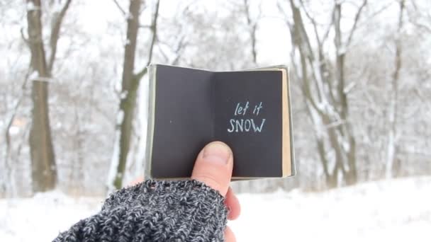 Laat het sneeuwen, boek met inscriptie — Stockvideo