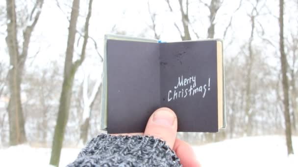 Merry Christmas-idee — Stockvideo