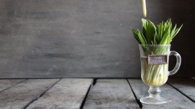 Temiz yemek. Vintage tablo ve etiket ahşap sarımsak