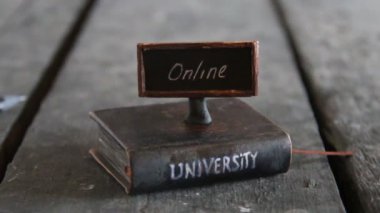 Online Master programları fikir