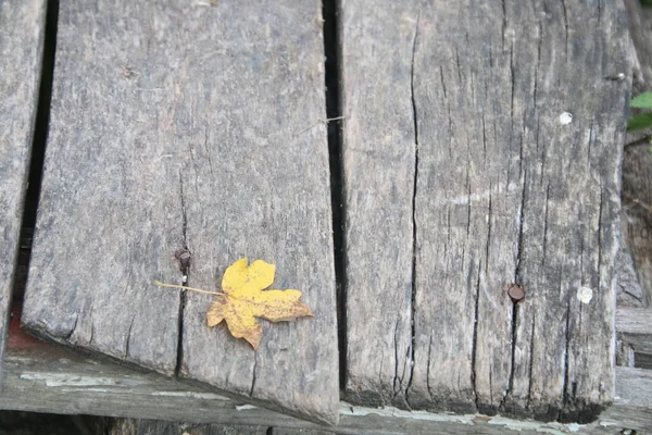Tablones de madera viejos, enfoque suave — Foto de Stock