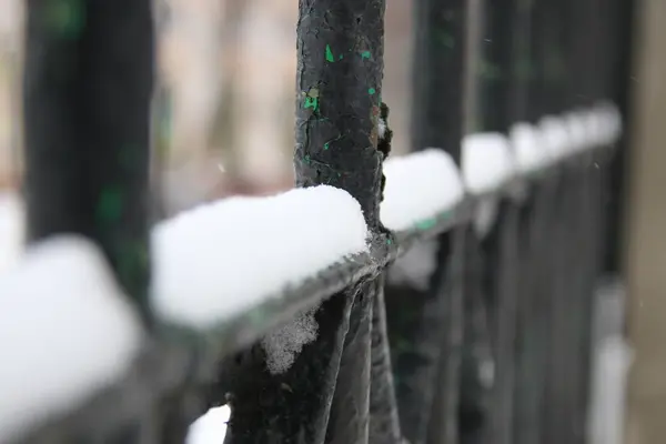 Metal grill no parque de inverno . — Fotografia de Stock