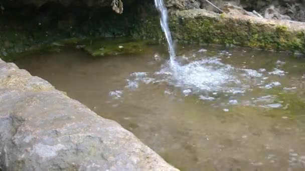 Fuente de agua natural pura — Vídeo de stock
