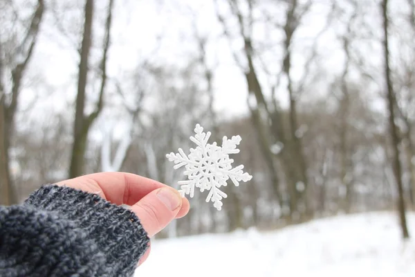 Snöiga kreativ idé — Stockfoto