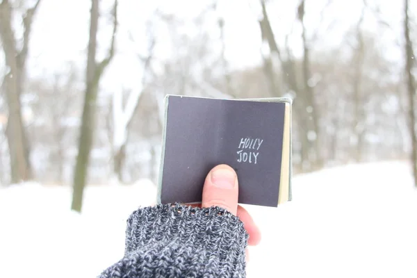 Holly jolly, man håller en bok med inskriptionen — Stockfoto