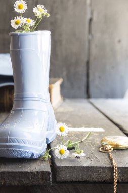 Papatyalar bir önyükleme ve cep saati, çiçek arka plan