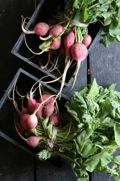 Rädisor i en trälåda på bordet. Ekologiska grönsaker. — Stockfoto