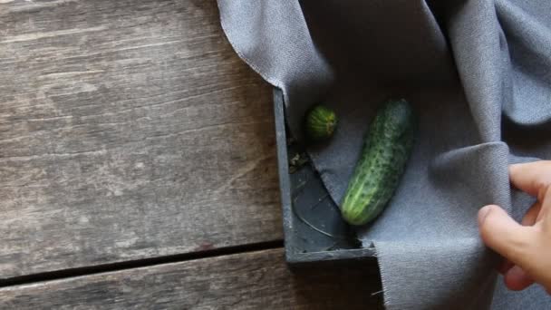 Fresh Ripe cucumber. Food background — Stock Video