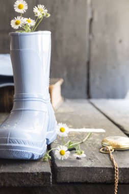 sonbahar çiçek arka plan, papatyalar bir önyükleme ve cep izlemek