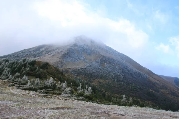 Mont Petros. Carpates.. Une partie de la pente est couverte d'un buisson avec du gel . — Photo