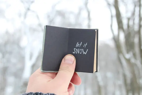 Lassen Sie es Schriftzug und fallenden Schnee schneien. Jahrbuch mit Beschriftung — Stockfoto