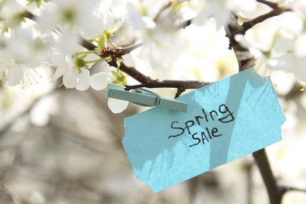 Venta de primavera Etiqueta y flores blancas en un día soleado de primavera — Foto de Stock