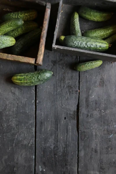 Pepinos Mesa Madera Alimento Orgánico Crudo — Foto de Stock