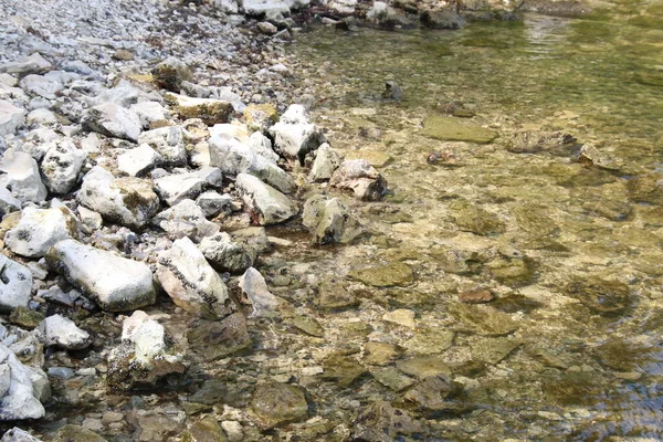 Горное Озеро Чистая Вода Горном Озере — стоковое фото