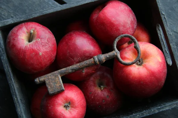 Healthy Eating Key Everything Concept Apples Key — Stock Photo, Image