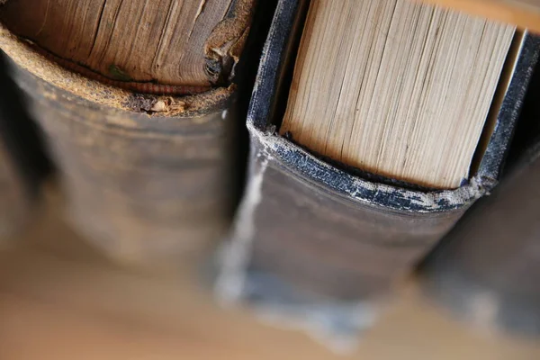 Estanterías Biblioteca Con Libros Antiguos Estilo Vintage — Foto de Stock