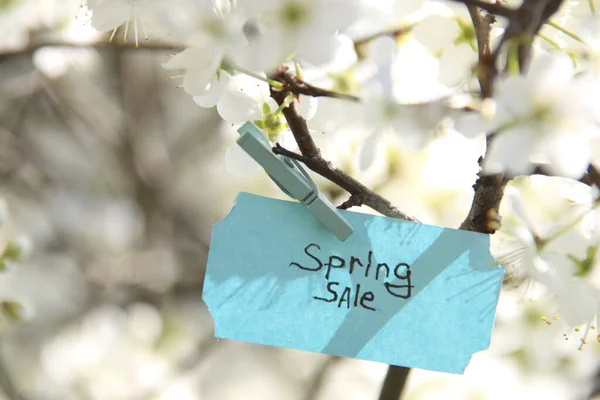 Spring Sale Concept Tag White Flowers Spring Sunny Day — Stock Photo, Image