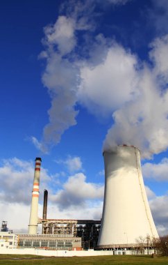 Bitki Zaluzi, Litvinov - Çek Cumhuriyeti güç