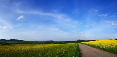 Mavi gökyüzü ile yaz doğa