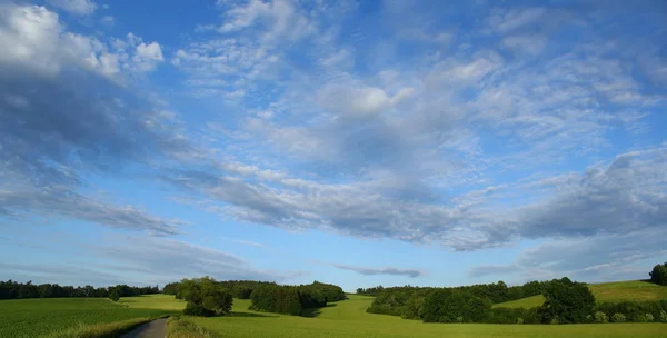 여름 자연 푸른 하늘 — 스톡 사진