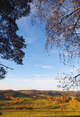 Mavi gökyüzü ve renkli ağaçlar sonbahar doğa