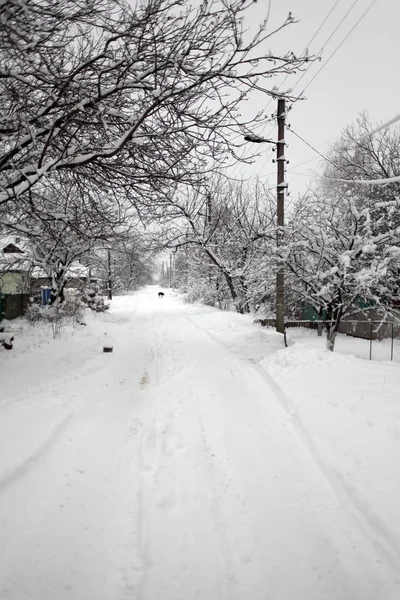 Ulice Silnice Mezi Domy Sněhu — Stock fotografie