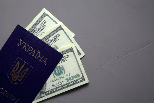 Український Паспорт Доларовими Банкнотами Бетонному Тлі Паспорт Друкується Паспорт України — стокове фото