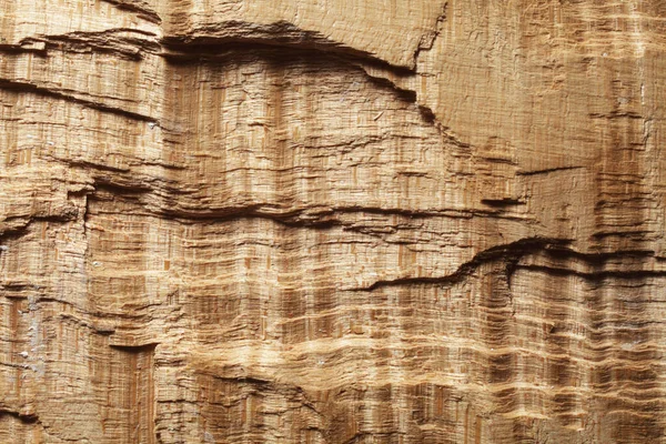 Drewno Klon Sycamore Tło Tekstury — Zdjęcie stockowe