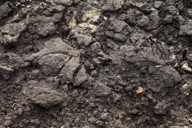 Bahçede topraklar, arka plan dokusu.