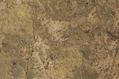 Bahçedeki beton yol, arka plan dokusu