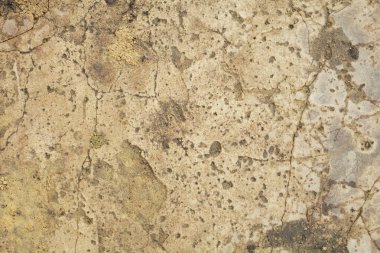 Bahçedeki beton yol, arka plan dokusu