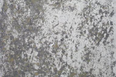 Bahçedeki beton yol, arka plan dokusu