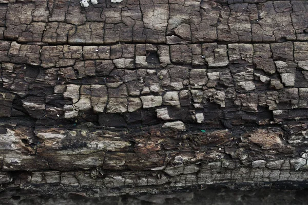 Staré Shnilé Dřevo Textura Pozadí — Stock fotografie